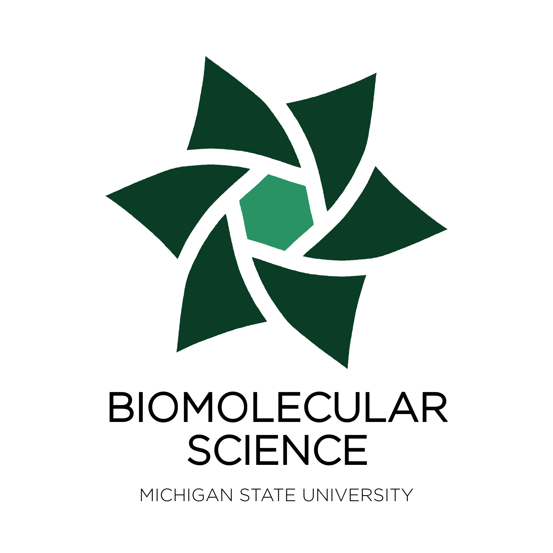 BioMolecular Science Logo